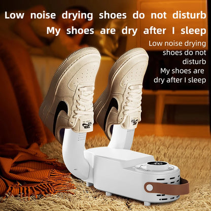 Intelligent Electric Shoe Dryer