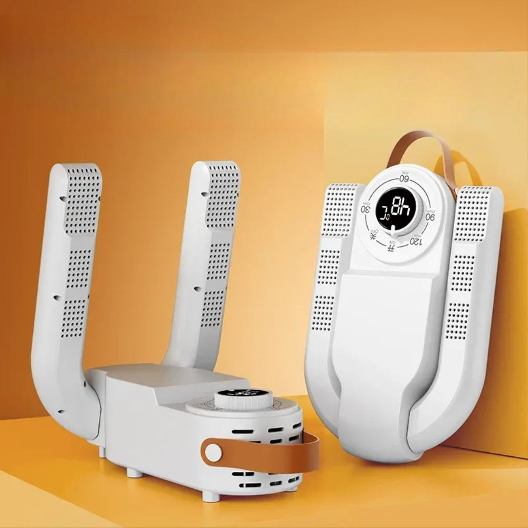 Intelligent Electric Shoe Dryer